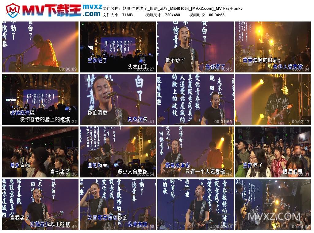 赵照-当你老了_国语_流行_ME401064
